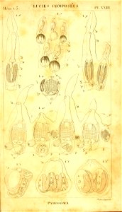 n296_w1150