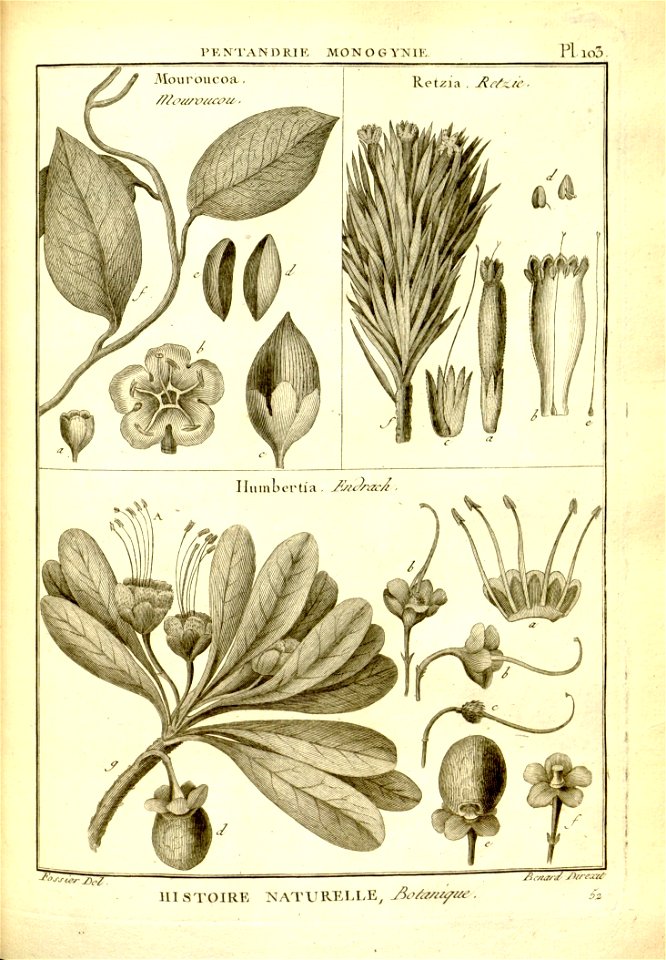 n105_w1150