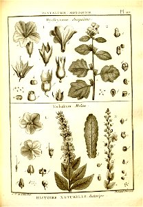 n119_w1150