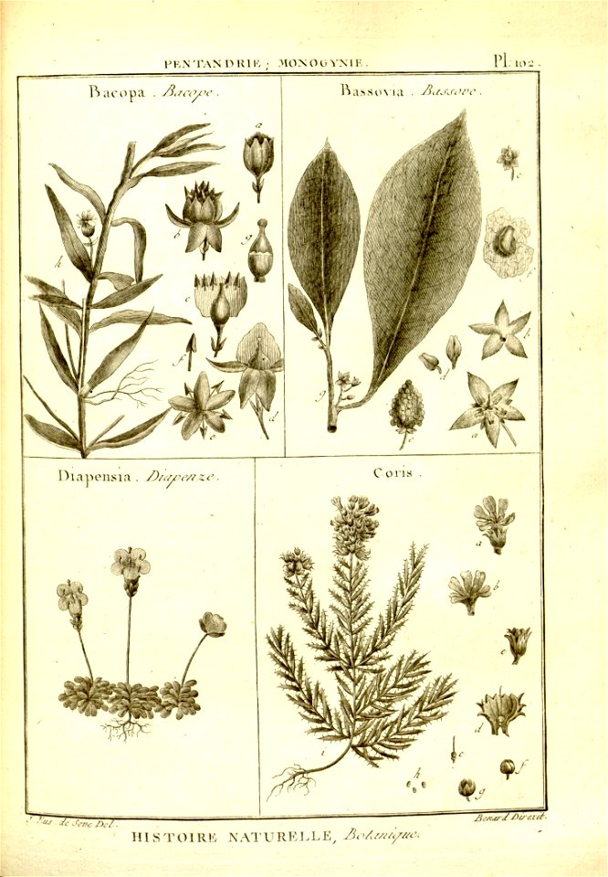 n104_w1150