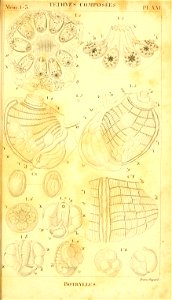 n292_w1150