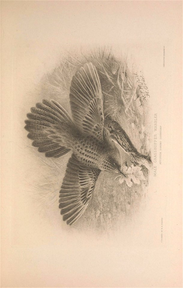 n50_w1150