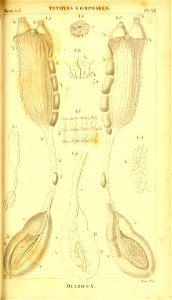 n274_w1150