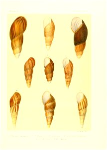 n46_w1150