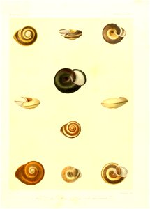 n16_w1150