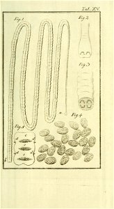 n718_w1150