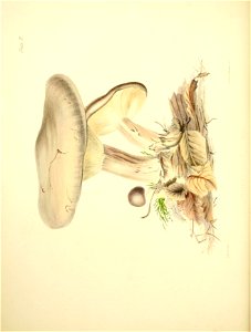 n45_w1150
