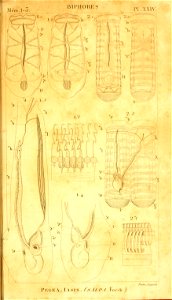 n298_w1150