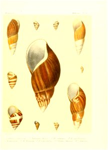 n44_w1150