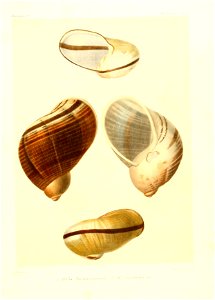 n14_w1150