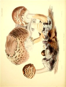 n161_w1150