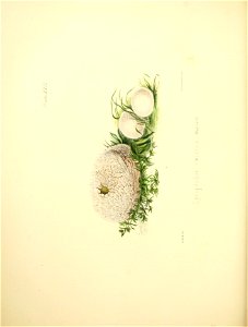n101_w1150