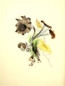n157_w1150