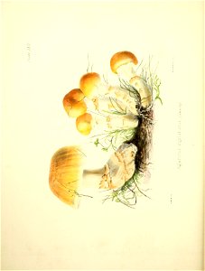 n97_w1150