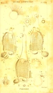 n294_w1150