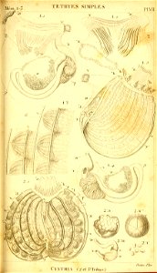 n264_w1150
