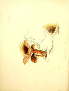 n93_w1150