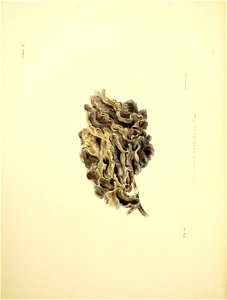 n33_w1150