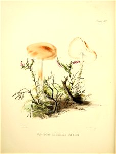 n89_w1150