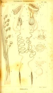 n278_w1150