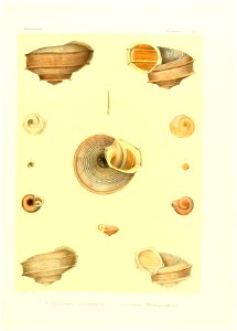 n54_w1150