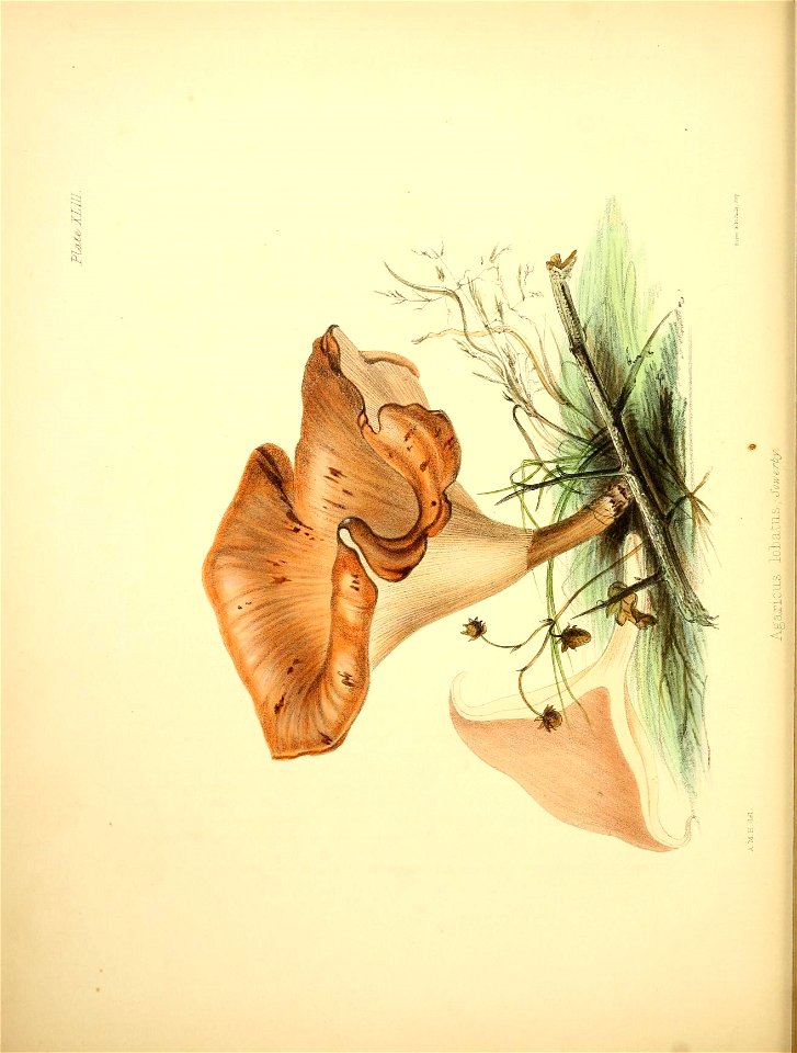 n181_w1150