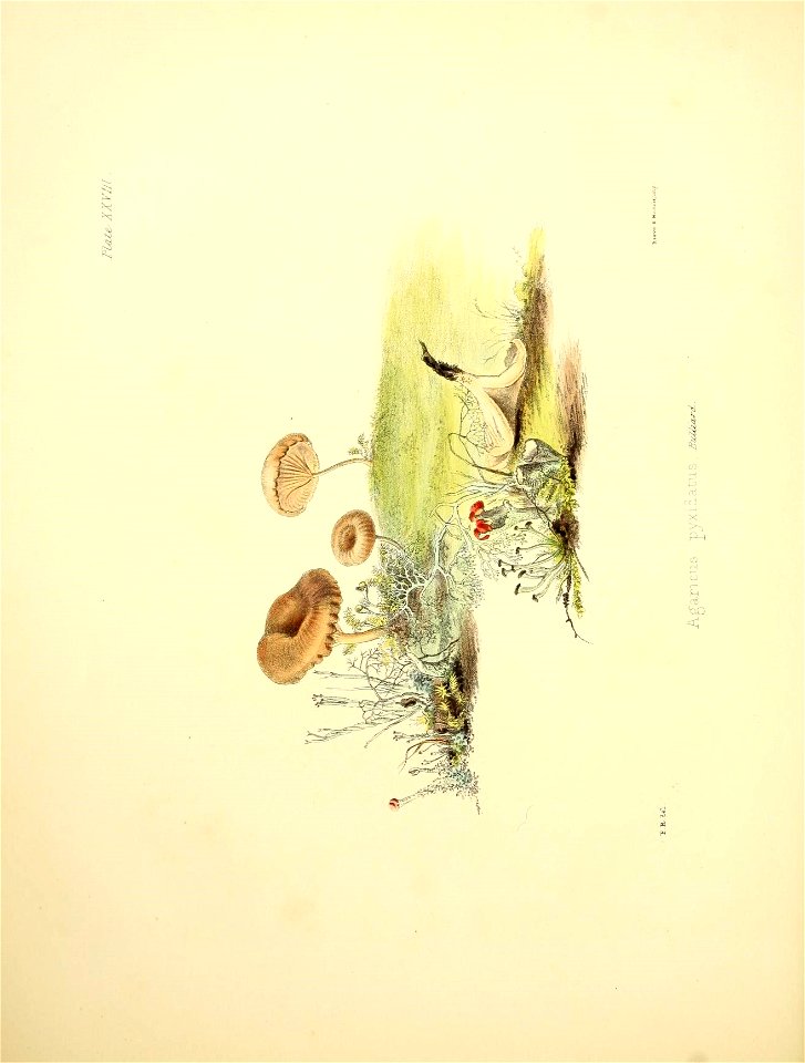 n121_w1150