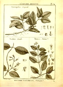 n66_w1150