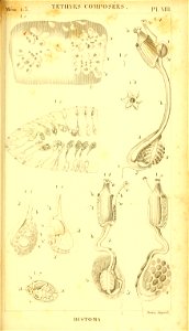 n276_w1150