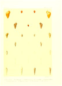 n50_w1150