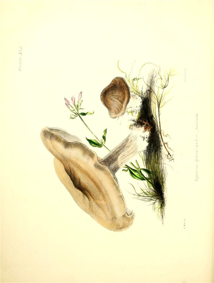 n173_w1150