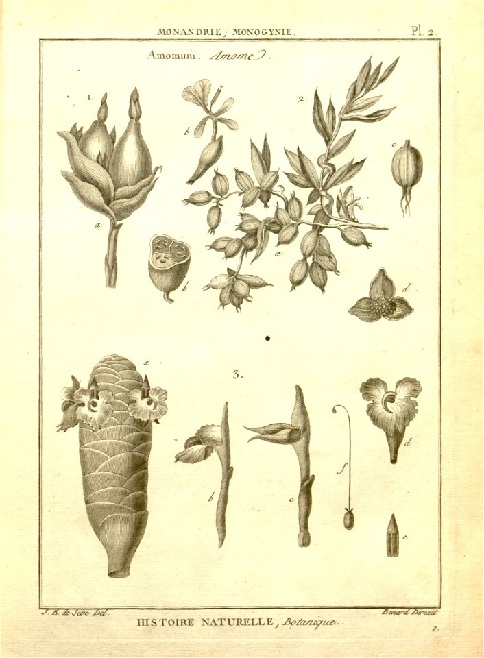 n4_w1150