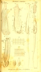 n272_w1150