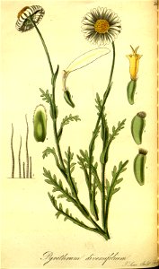 n205_w1150