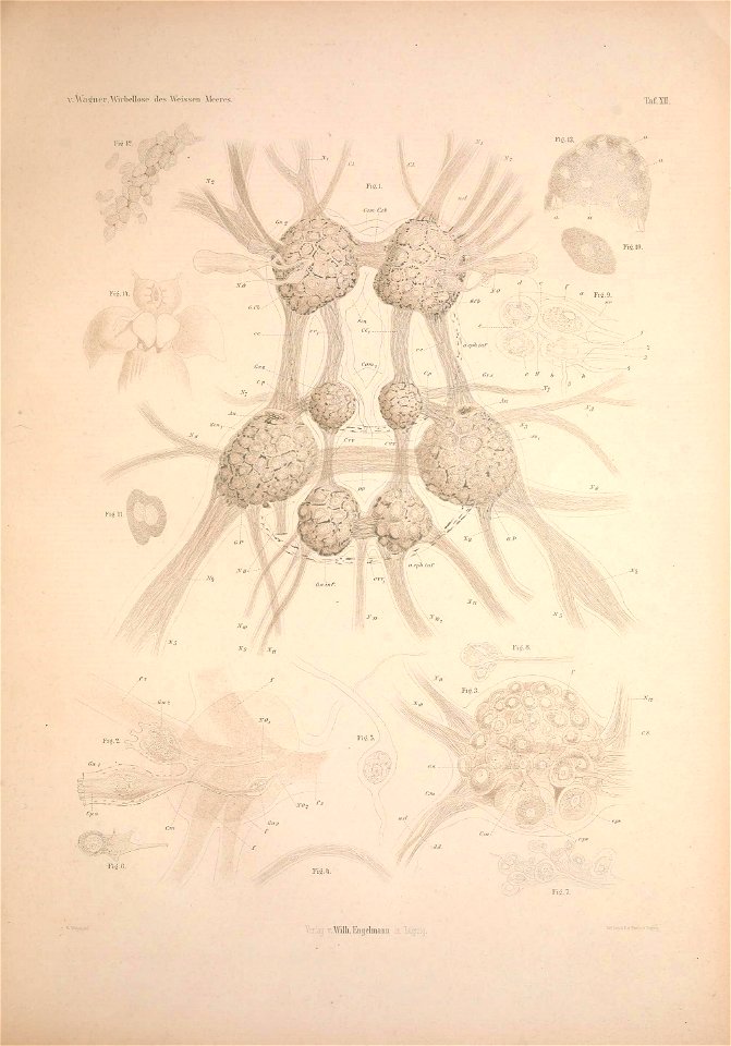 n228_w1150