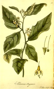 n157_w1150