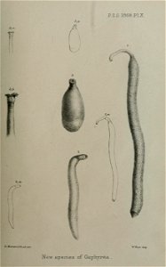 n116_w1150