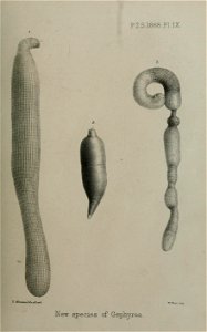 n114_w1150