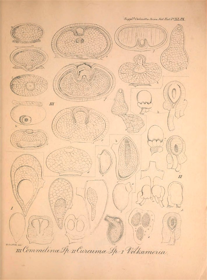 n106_w1150