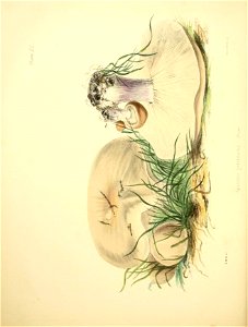 n169_w1150