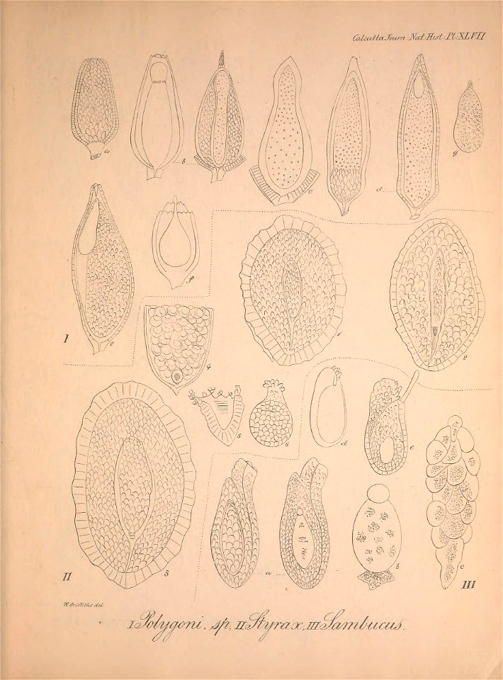 n102_w1150
