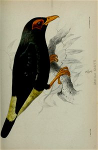 n158_w1150