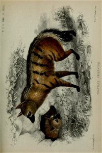 n568_w1150