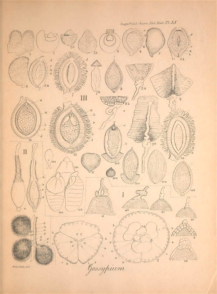 n110_w1150