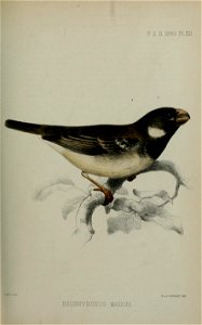 n192_w1150