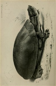 n673_w1150