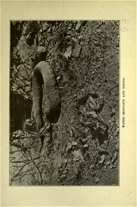 n138_w1150