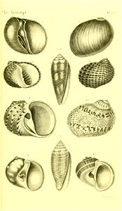 n112_w1150