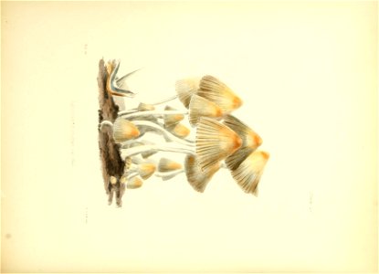 n245_w1150