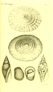 n110_w1150